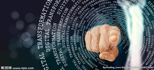 数字广告设计 数字化设计图库的变革与应用